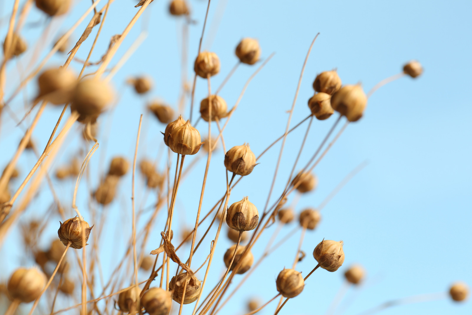 Article FashionNetwork : à la découverte des fils français